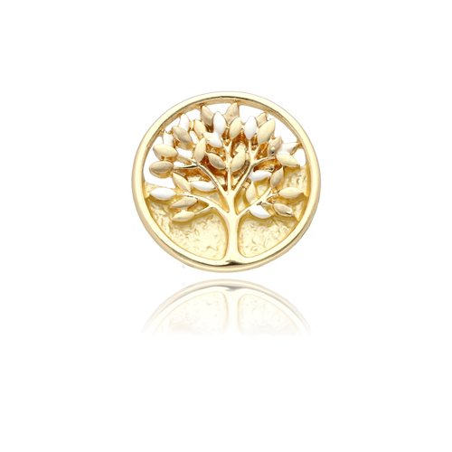 Obrazek Broszka na magnes BR99028