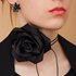 Obrazek Choker LA ROSA N97700