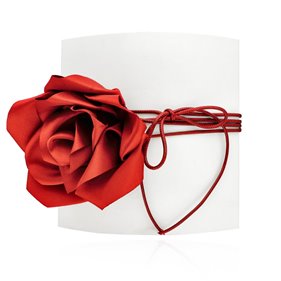 Obrazek Choker LA ROSA N97708
