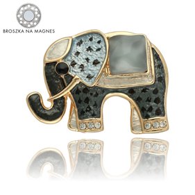 Obrazek Broszka na magnes BR97610