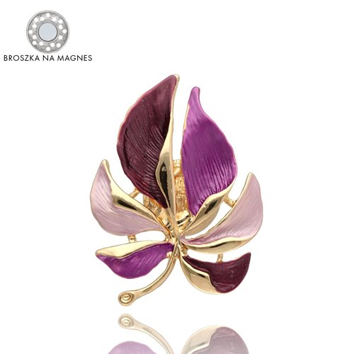 Obrazek Broszka na magnes BR97354