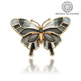 Obrazek Broszka na magnes BR97218