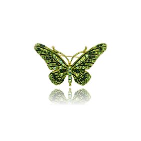 Obrazek Broszka BR97489