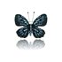 Obrazek Broszka BR96319