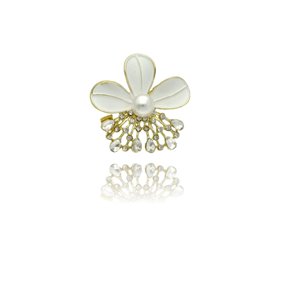 Obrazek Broszka BR96133